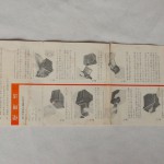 Meisupi II complete set 18 developing box instruction sheet